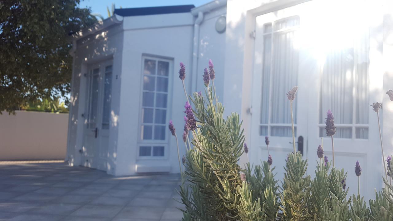 Blu Bed & Breakfast Port Elizabeth Extérieur photo