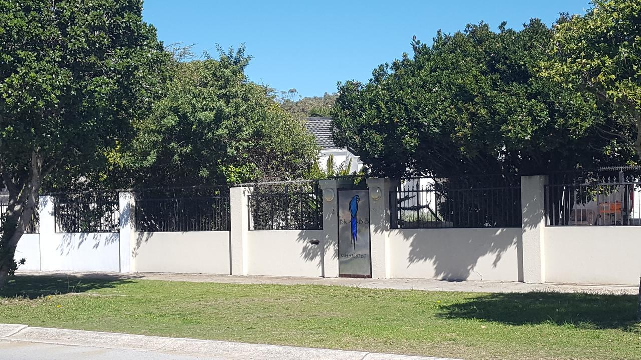 Blu Bed & Breakfast Port Elizabeth Extérieur photo