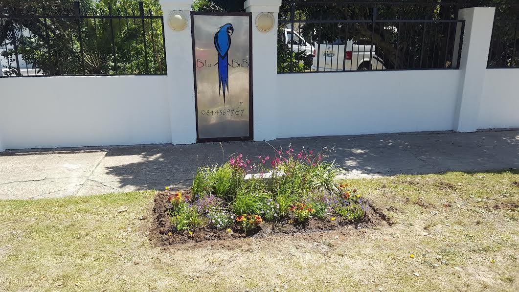 Blu Bed & Breakfast Port Elizabeth Extérieur photo